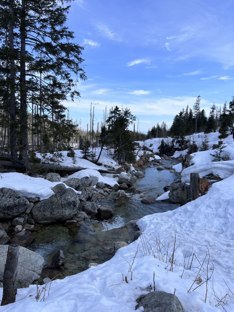 Stream and rocks covered with snow in High Tatras